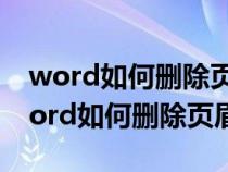 word如何删除页眉上的一道横线快捷键（word如何删除页眉）