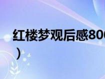 红楼梦观后感800字作文（红楼梦观后感800）