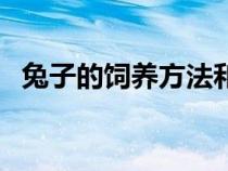 兔子的饲养方法和技巧（兔子的饲养方法）