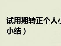 试用期转正个人小结100字（试用期转正个人小结）