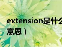 extension是什么意思啊（extension是什么意思）