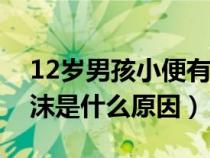 12岁男孩小便有泡沫是什么原因（小便有泡沫是什么原因）