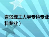 青岛理工大学专科专业计算机科学与技术（青岛理工大学专科专业）