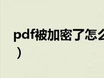 pdf被加密了怎么解锁（pdf加密码怎么设置）