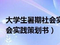 大学生暑期社会实践策划模板（大学生暑期社会实践策划书）