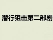 潜行狙击第二部剧情简介（潜行狙击第二部）