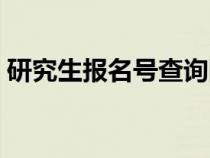 研究生报名号查询网站（研究生报名号查询）