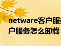 netware客户服务怎么卸载xp（netware客户服务怎么卸载）