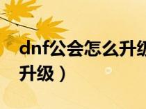 dnf公会怎么升级成中级公会（dnf公会怎么升级）