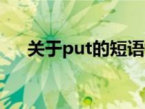 关于put的短语搭配（关于put的短语）