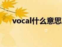 vocal什么意思英语（vocal什么意思）