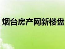 烟台房产网新楼盘价格（烟台房产网新楼盘）