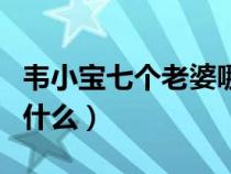 韦小宝七个老婆哪个最爱（韦小宝七个老婆叫什么）