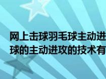 网上击球羽毛球主动进攻的技术有搓条放网（网上击球羽毛球的主动进攻的技术有）