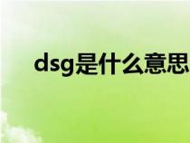 dsg是什么意思网络（dsg是什么意思）