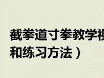 截拳道寸拳教学视频（截拳道的寸拳发力技巧和练习方法）