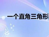 一个直角三角形两条直角边分别是5和12