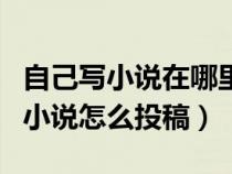 自己写小说在哪里投稿用什么软件（自己写的小说怎么投稿）