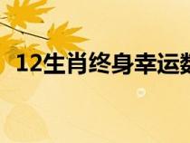 12生肖终身幸运数字（个人幸运数字查询）