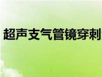 超声支气管镜穿刺活检（气管镜检查有危险）