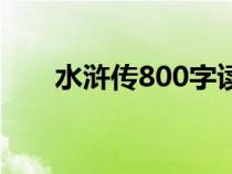 水浒传800字读后感（800字读后感）