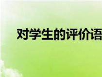 对学生的评价语100字（对学生的评价）