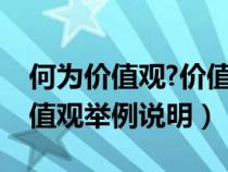 何为价值观?价值观具有什么特点（什么是价值观举例说明）