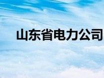 山东省电力公司电话（山东省电力公司）