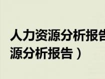 人力资源分析报告从哪几个方面进行（人力资源分析报告）