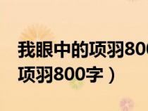 我眼中的项羽800字作文(鸿门宴)（我眼中的项羽800字）