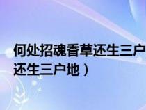 何处招魂香草还生三户地这幅对联说的是谁（何处招魂香草还生三户地）