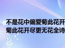 不是花中偏爱菊此花开尽更无花寓意是什么（不是花中偏爱菊此花开尽更无花全诗）