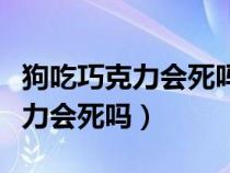 狗吃巧克力会死吗几个小时内会死（狗吃巧克力会死吗）