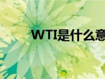 WTI是什么意思（wti是什么意思）