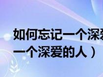 如何忘记一个深爱的人?学会绝情（如何忘记一个深爱的人）