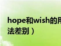 hope和wish的用法区别（hope和wish的用法差别）