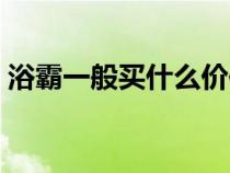 浴霸一般买什么价位合适（浴霸是什么东西）