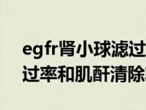 egfr肾小球滤过率和肌酐清除率（肾小球滤过率和肌酐清除率）