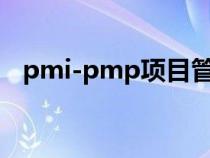 pmi-pmp项目管理（pmc项目管理模式）