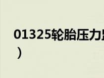 01325轮胎压力监控控制单元无信号（0132）