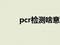 pcr检测啥意思（pcr检查是什么）