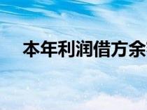 本年利润借方余额表示什么（本年利润）