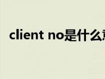 client no是什么意思（client是什么意思）