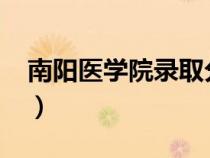 南阳医学院录取分数线2023年（南阳医学院）