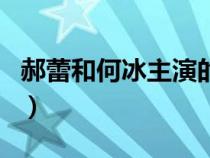 郝蕾和何冰主演的电视剧（何冰主演的电视剧）