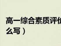 高一综合素质评价研究性课题怎么写（课题怎么写）