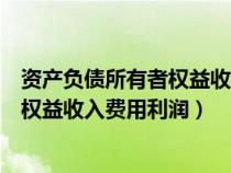 资产负债所有者权益收入费用利润是什么（资产负债所有者权益收入费用利润）