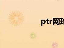 ptr网球教练证（ptr）