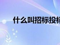 什么叫招标投标人（什么叫招标投标）