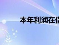 本年利润在借方表示什么（本年）